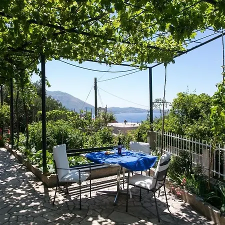 Apartman Olive Mlini