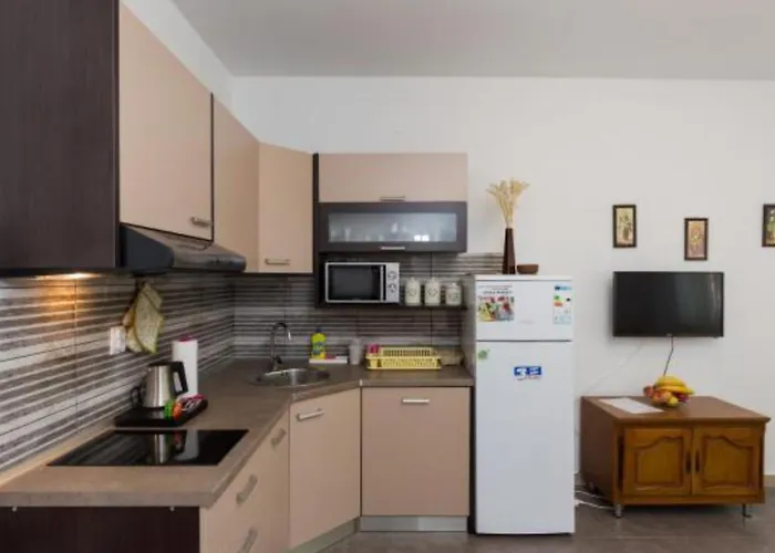 公寓 Olive 米利尼